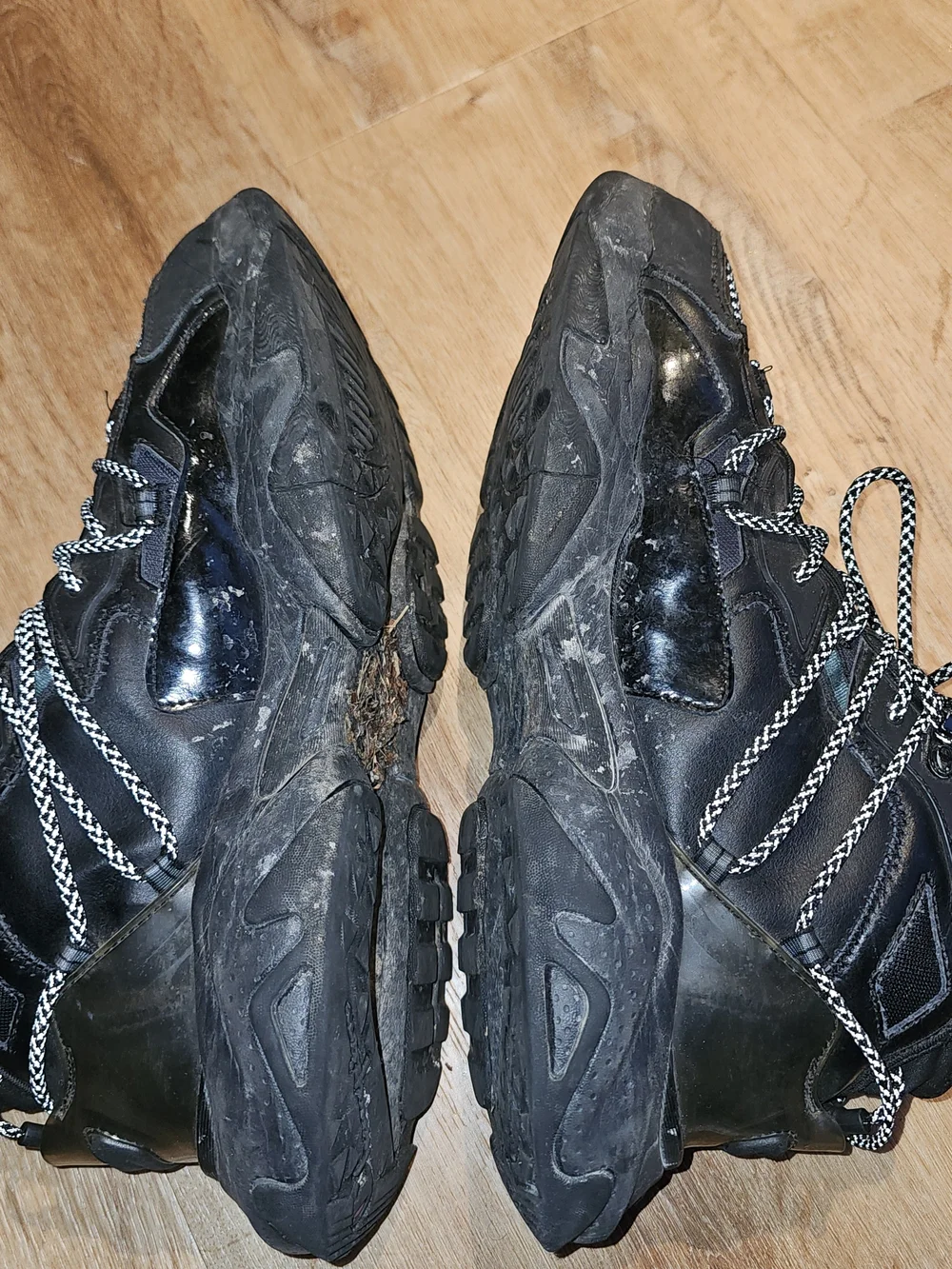 Champion Black Low-Top Chunky Sneakers with Black/White Laces - Picture 5 of 6